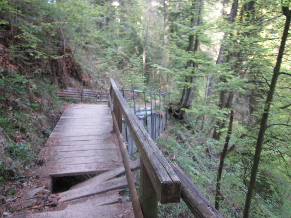 foto fenepark kempten